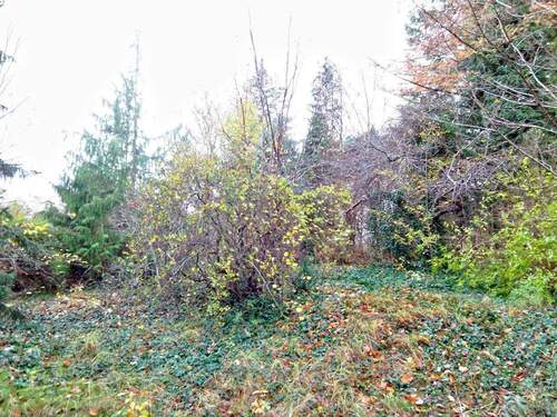 Grundstück - Grundstück zum Kaufen in Rietschen