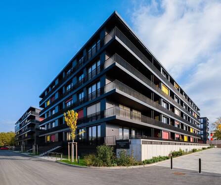 7IV04093-scaled.jpg - 