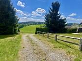 Zufahrt zum Haus - 