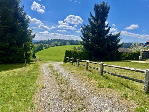 Zufahrt zum Haus - 