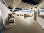 Halle - 