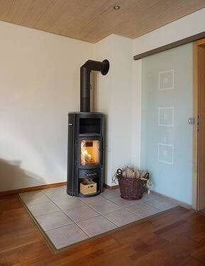 Stahl-Kaminofen - 