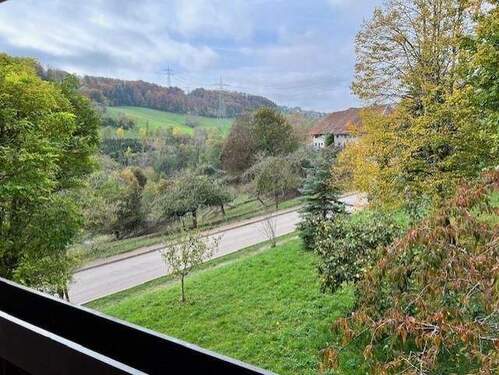 herrlicher Fernblick - 4 Zimmer Etagenwohnung zum Kaufen in Waldshut