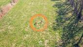 DJI_0283kreis.jpg - 