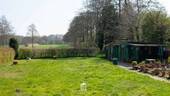 DSC_4512.jpg - 