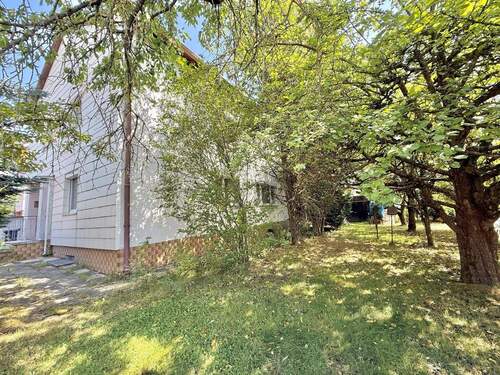 Gartenfläche mit altem Baumbestand - 