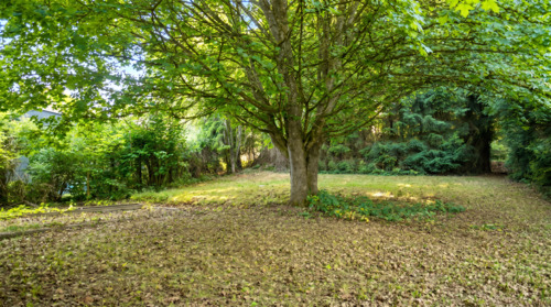 Großzügiger Garten - Einfamilienhaus mit 200,00 m&sup2; in Steinheim am Albuch zum Kaufen