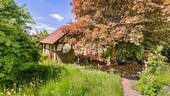 Garten 1 - 