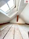 Dachspitz - 