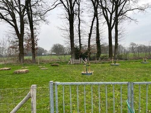 Wohnbaufläche - Grundstück in Wielen zum Kaufen