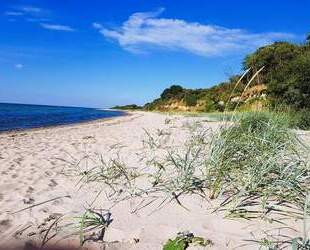 Ostseenahes Anwesen mit Neubaugebiet! - Nordwestmecklenburg - Landkreis - Dassow Kaltenhof