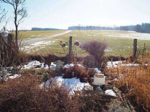 Im winterlichen Gemüsegarten - 