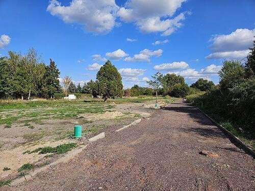 Baugrundstück - Grundstück zum Kaufen in Barleben