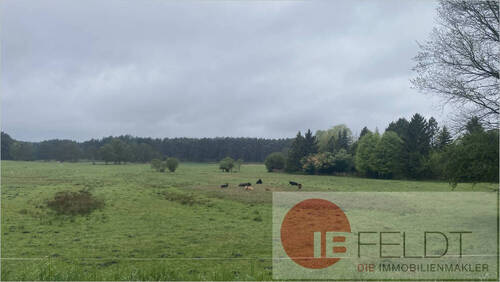 Umgebung - 