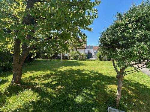 Blick in den Garten - 