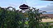 liebevoll - 
