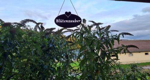 liebevoll - 