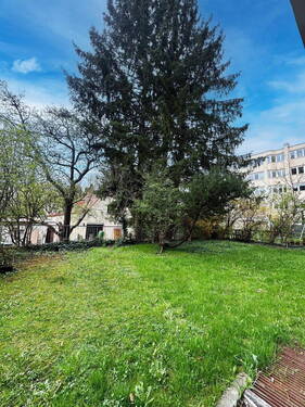 Gemeinschaftsgarten - 