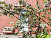 Garten - 9 Zimmer Mehrfamilienhaus, Wohnhaus zum Kaufen in Dornum
