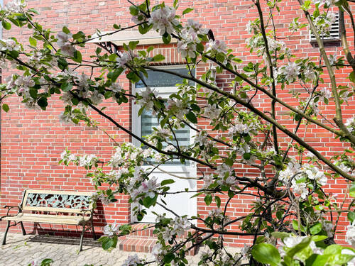 Garten - 9 Zimmer Mehrfamilienhaus, Wohnhaus zum Kaufen in Dornum