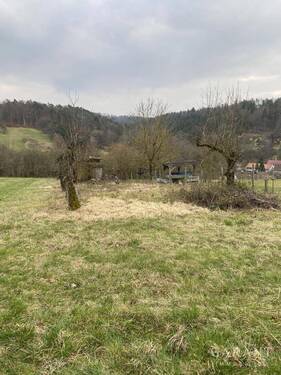 Garten - # Freizeit-Grundstück in Weinstadt-Baach #