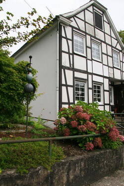 Hausansicht Vorgarten - 5 Zimmer Einfamilienhaus in Solingen