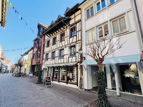 Aussenansicht - 7 Zimmer Mehrfamilienhaus, Wohnhaus in Radolfzell