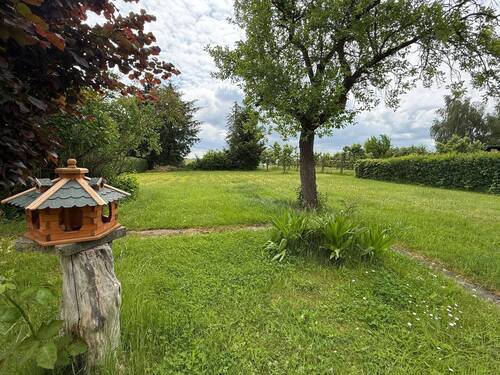 Garten - 6 Zimmer Einfamilienhaus zum Kaufen in Warnow