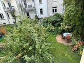 Blick aus dem Küchenfenster - 