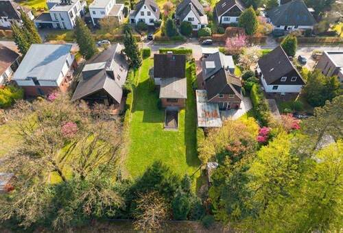 Auch von oben schön. Frühling-KI - 