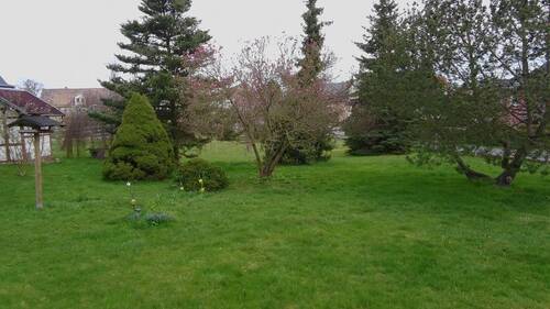 Hausansicht und Grundstück - 