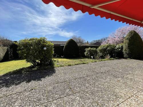 Blick von Terrasse in den Garten - 