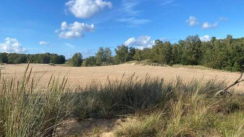 Boberger Dünen - 