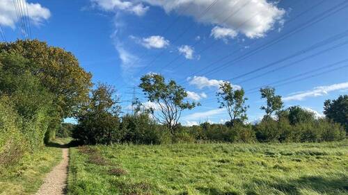 Boberger Ausgleichswiesen - 