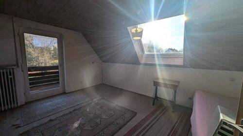 PXL_20241115_130924610.MP.jpg - 