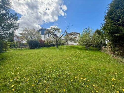 Großer Garten - 8 Zimmer Mehrfamilienhaus, Wohnhaus in Kelkheim (Taunus)