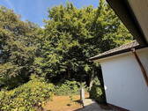 Teil des Hintergartens - 