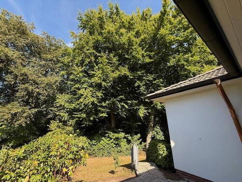 Teil des Hintergartens - 