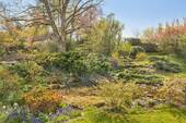 Gartenansicht II - 