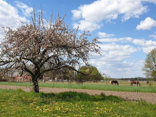 Natur - 