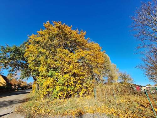 Blick auf das Grundstück - 