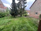 IMG_6516.jpg - 