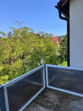 WhatsApp Image 2025-08-14 at 13.26.42 (11).jpeg - 