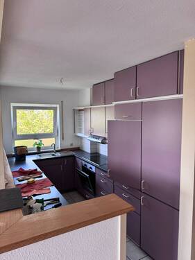 WhatsApp Image 2025-08-14 at 13.26.42 (8).jpeg - 