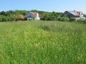 Grundstück - schönes großzügiges Baugrundstück in ruhiger Ortsrandlage