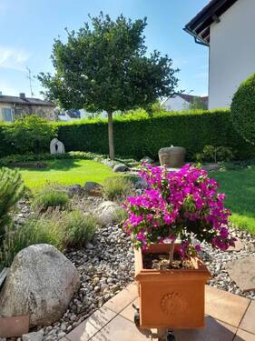 Sommer im Garten - 7 Zimmer Einfamilienhaus zum Kaufen in Neufahrn bei Freising
