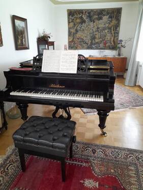 Musikzimmer - 