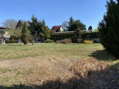 Auf dem Grundstück - Grundstück zum Kaufen in Panketal