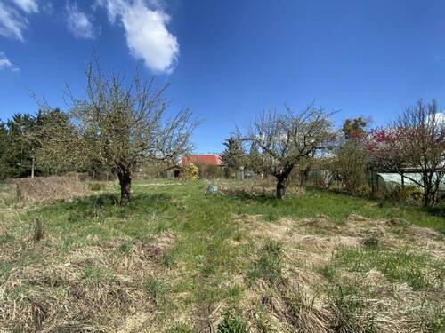 Hinter der Scheune - 