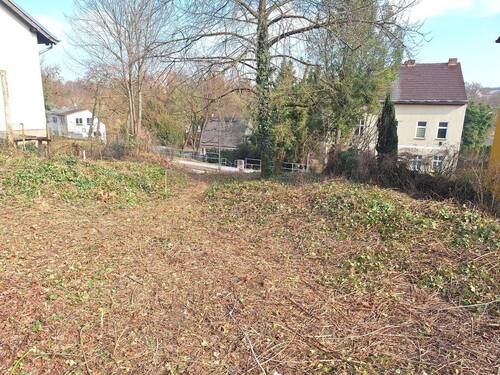 Auf dem Grundstück - Attraktives Grundstück in Flakenseenähe